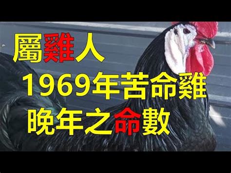 1981屬雞2023運勢|1981年屬雞2023年運勢及運程每月運程 42歲生肖雞2023年每月運。